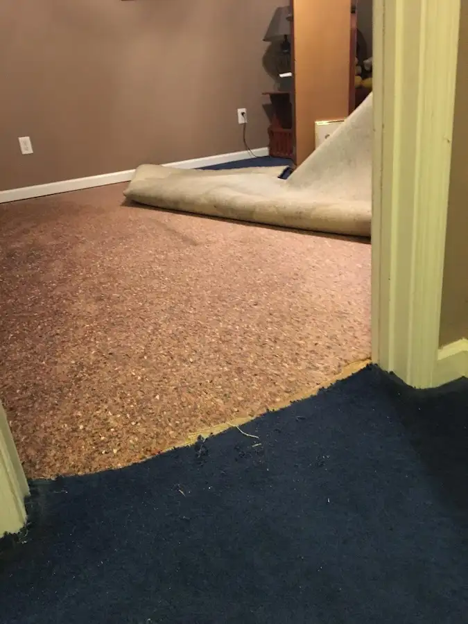 Carpet pad removal revealing water damage during Drying & Dehumidification in North Springfield