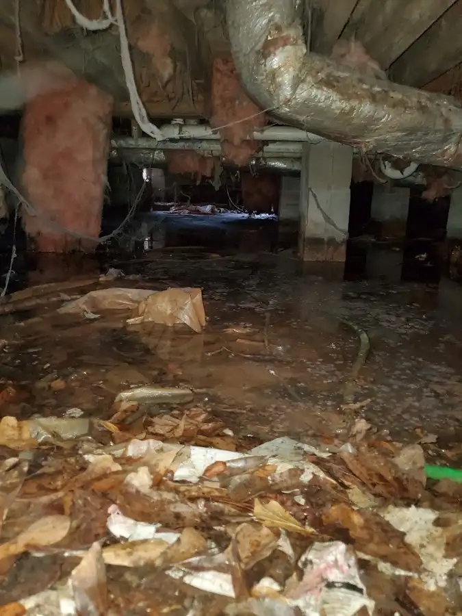 Crawl space flood assessment for Leak Detection & Repair in North Springfield