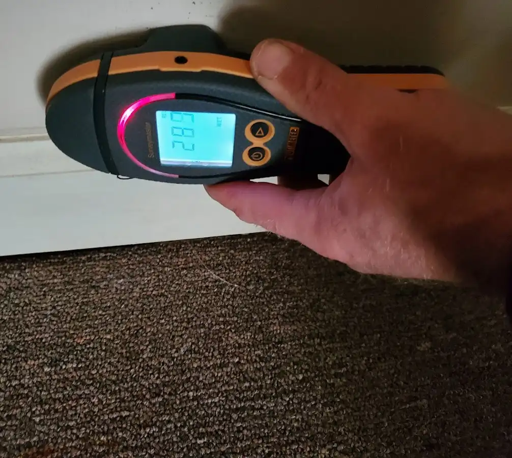Moisture detection at baseboard during Sewage Cleanup & Sanitation in North Springfield